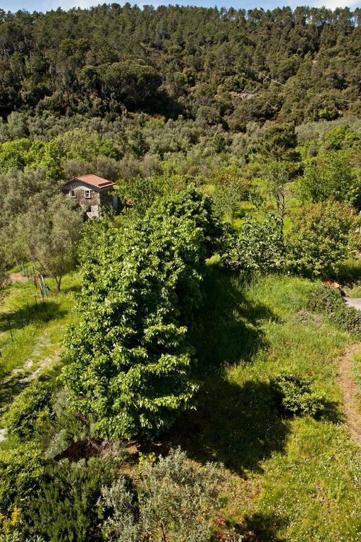 Villa Margherita Appartamento Per 5 In Villa Ottocentesca Castiglione Chiavarese Zimmer foto